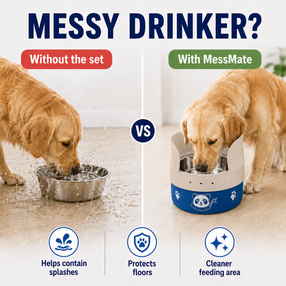 MessMate Stainless Steel Dog Bowl Set with Silicone Splash Guard