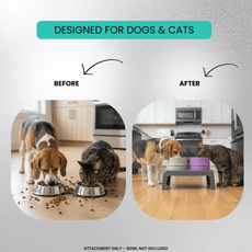 MessMate™ – Mess - Free Silicone Bowl Attachment (Bowl Not Included) - MessMate