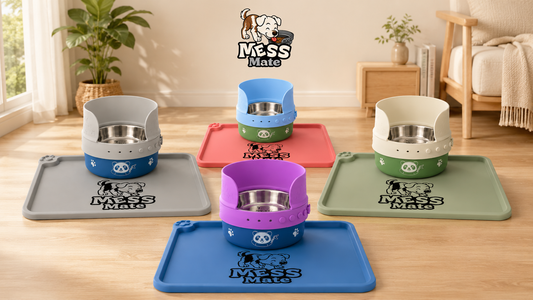 MessMate Complete Mealtime Set for Dogs & Cats – Splash Guard, Stainless Steel Bowl & Silicone Feeding Mat